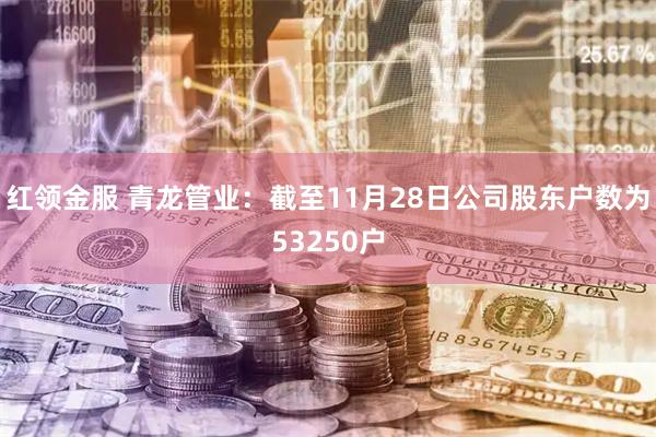 红领金服 青龙管业：截至11月28日公司股东户数为53250户